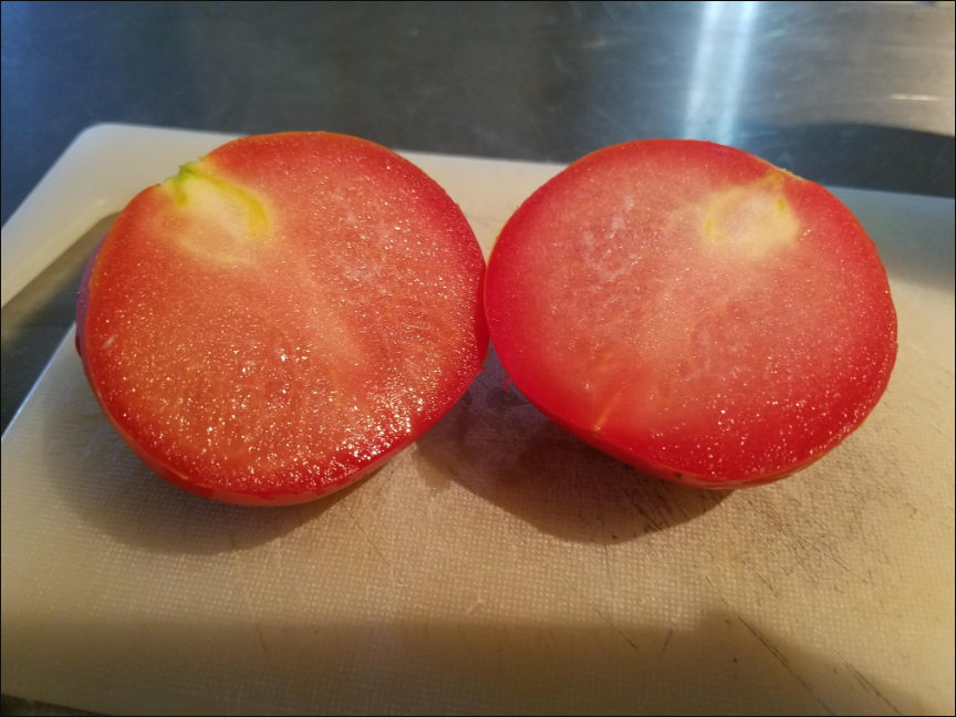 西红柿无籽的原因是什么？西红柿类蔬菜知识