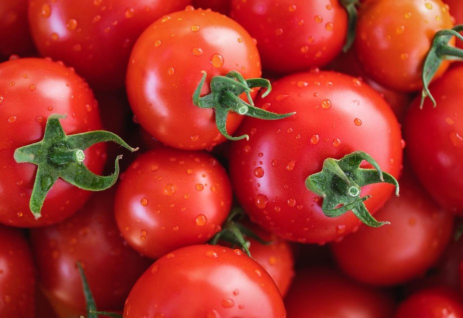西红柿种植在我国的历史介绍，有哪些营养价值？