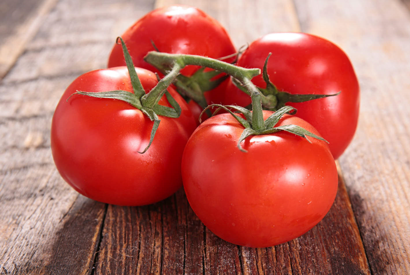 西红柿在我国的种植历史，西红柿的高产方法介绍