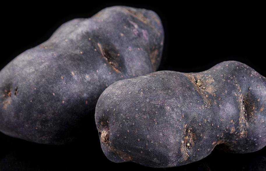 黑土豆适合种植在哪些地区？有什么特点？