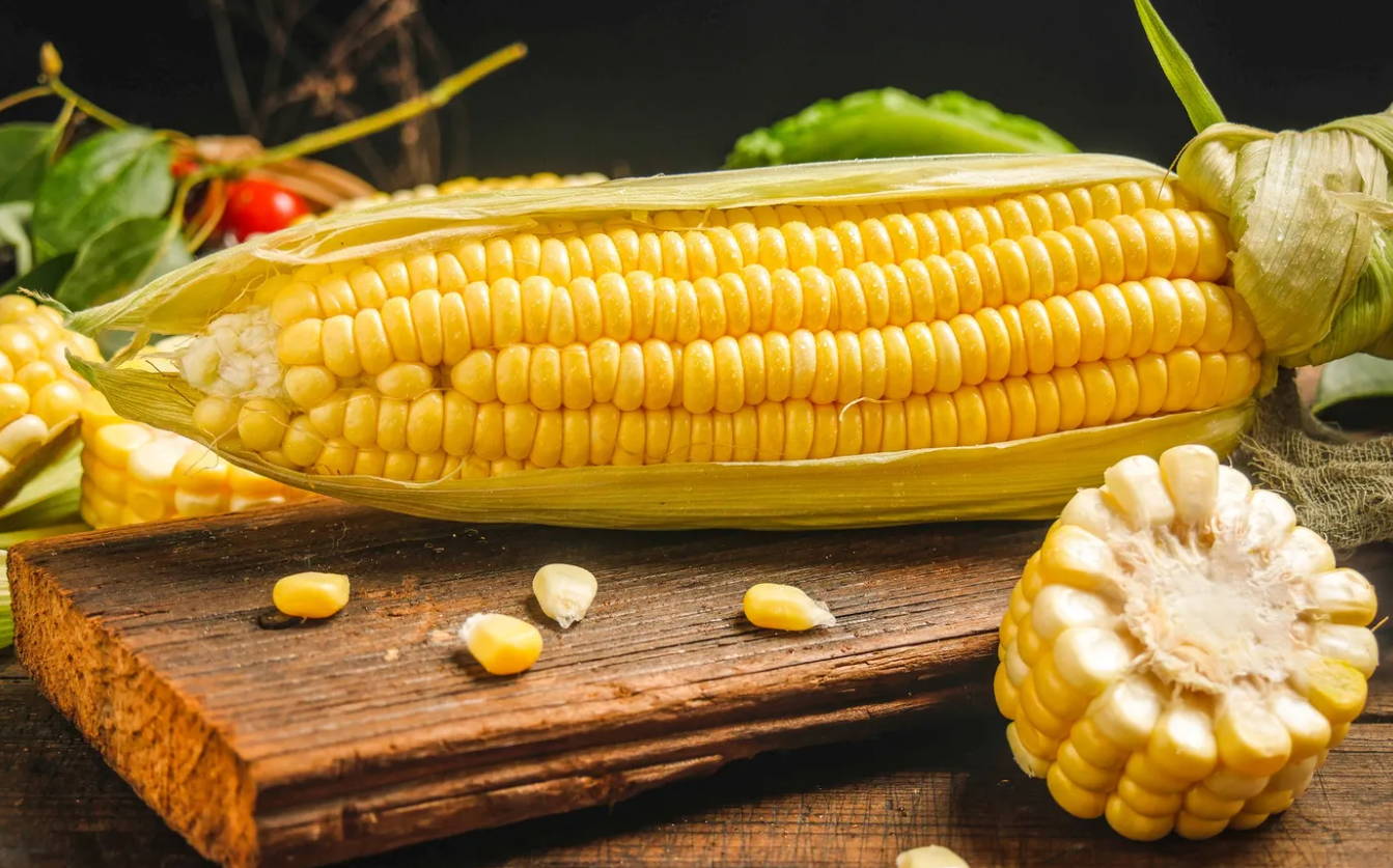 玉米膜下滴灌和直播玉米哪个更好？