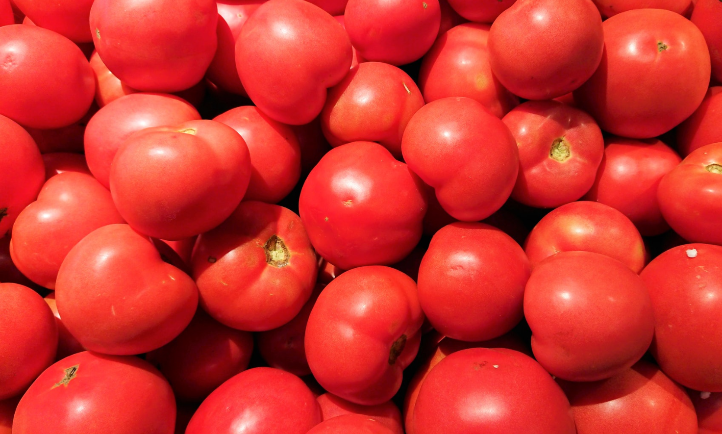 番茄皴皮的原因和预防措施有哪些？