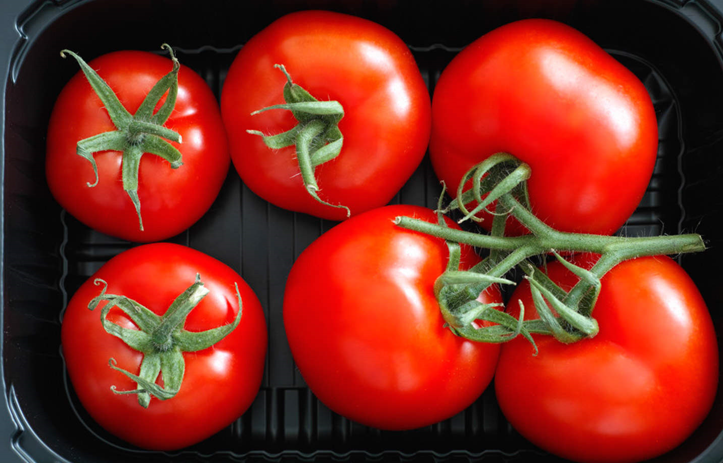 西红柿打叶技巧及注意事项有哪些？