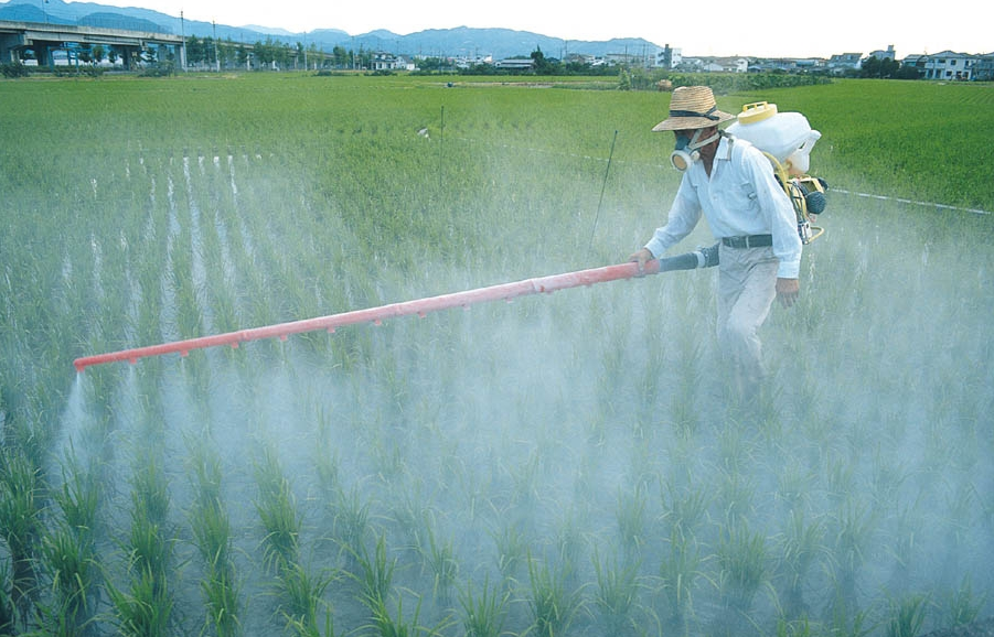 农药对人类健康产生的毒性影响都有哪些因素？