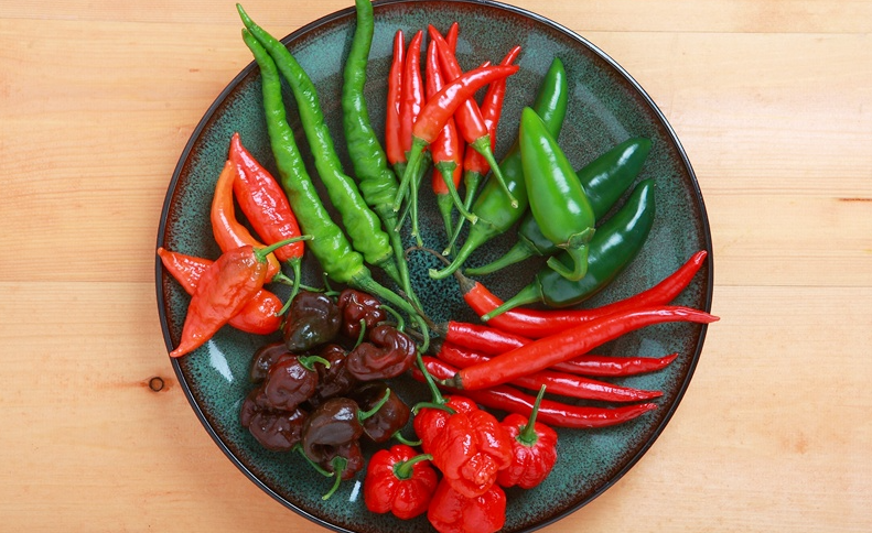 观赏辣椒和辣椒之间的区别有哪些？