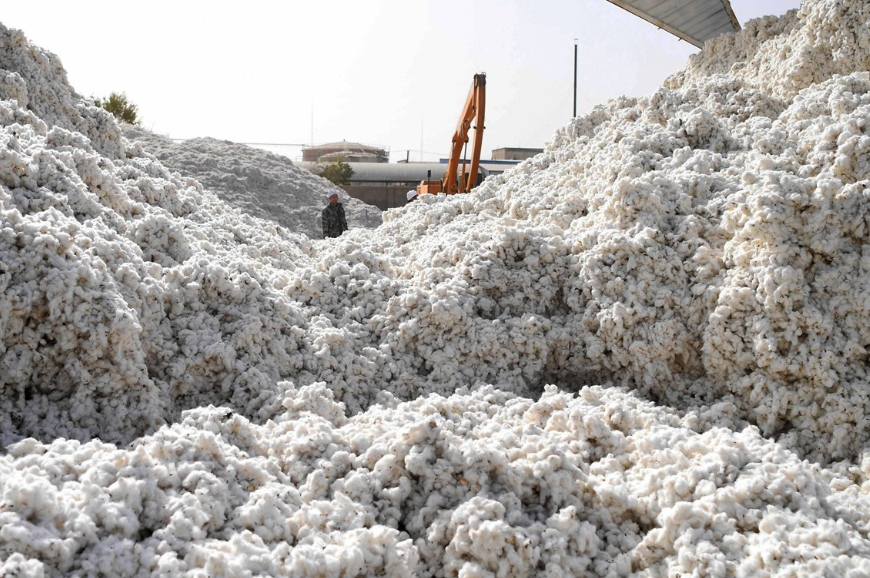 棉花经营如何进行市场调研和预测？如何计划？