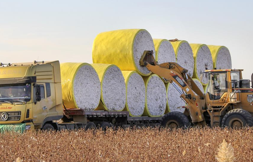 棉花经营如何减少劳动占用和消耗，增加利润？