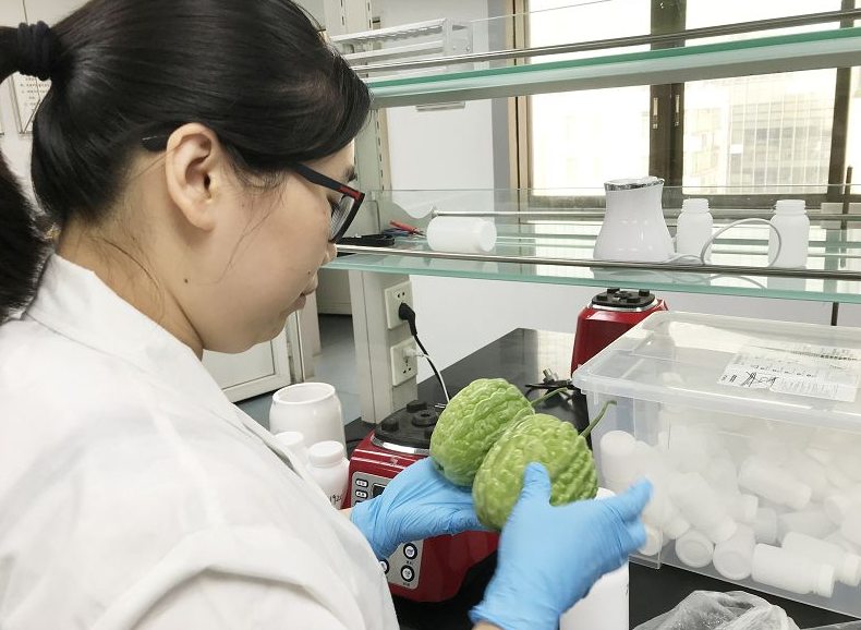 中国农药遗传毒性测验程序主要由什么组成？
