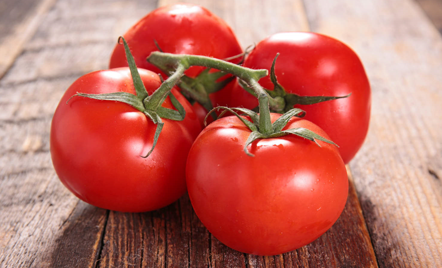 番茄的别称和经济价值有哪些？