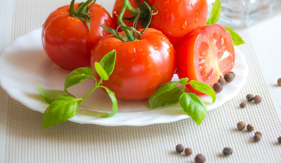 番茄果实的生理病害和控制方法介绍