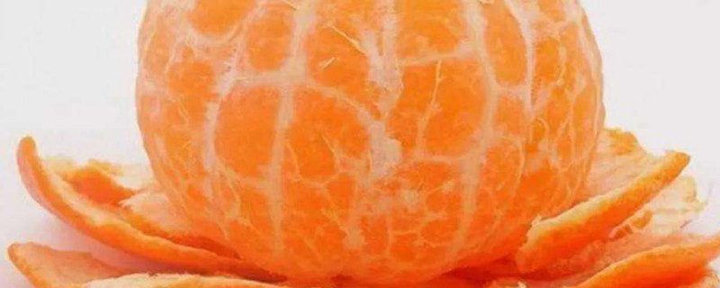 橘子里面白色的东西叫什么